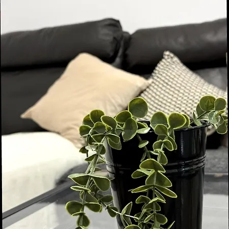 Oasis - Cerca De La Playa - Parking Gratis Santander